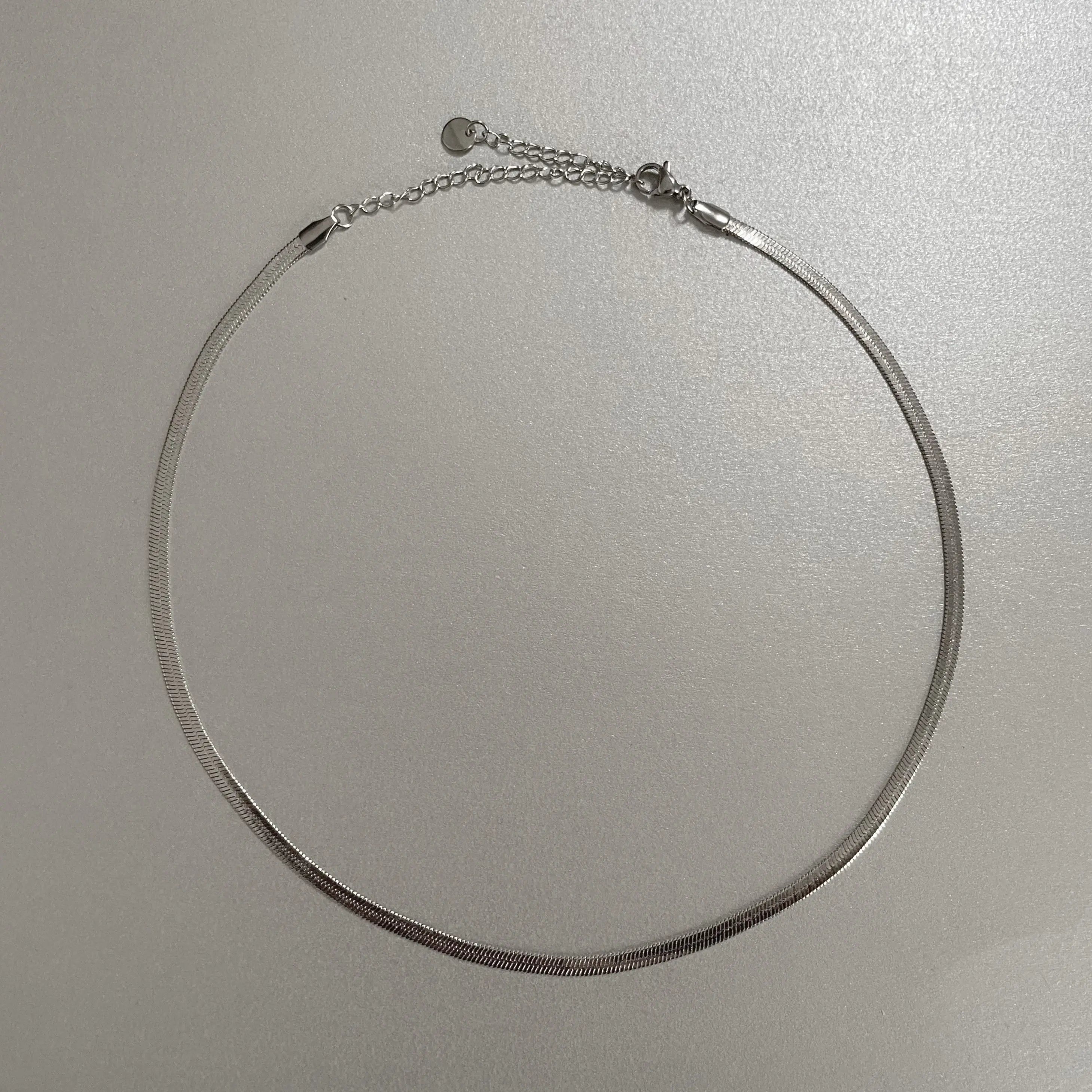 Catalina Luxe Silver Choker Necklace