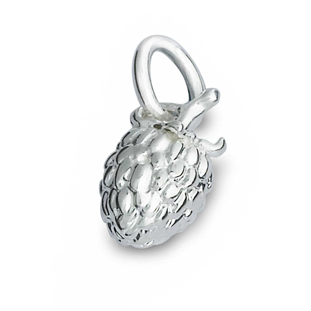 Raspberry Silver Charm